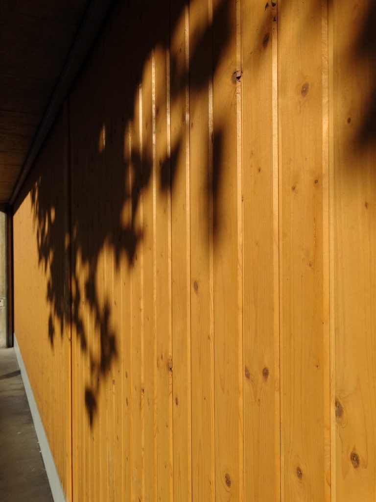 garage door, wooden gate, lichtspiel, the shade, light, shadow play